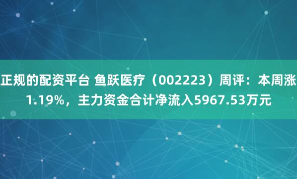 正规的配资平台 鱼跃医疗（002223）周评：本周涨1.19%，主力资金合计净流入5967.53万元